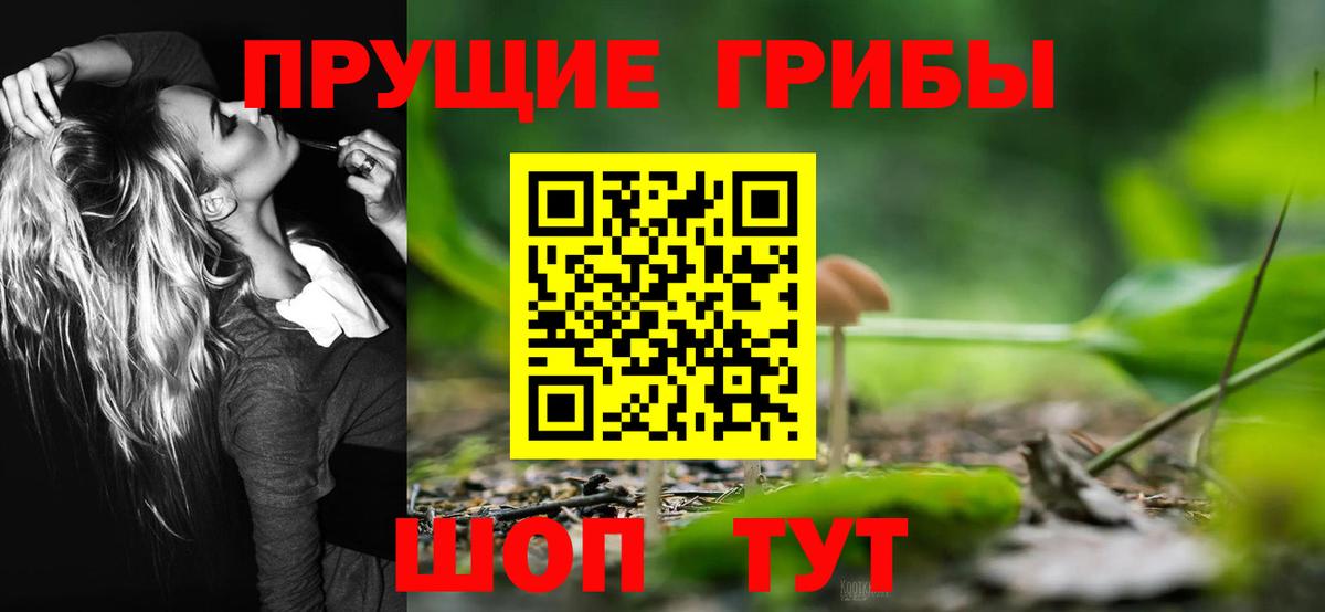 Галлюциногенные грибы Cubensis  Псилоцибиновые грибы GOLDEN TEACHER  Вход с VPN  Уварово 